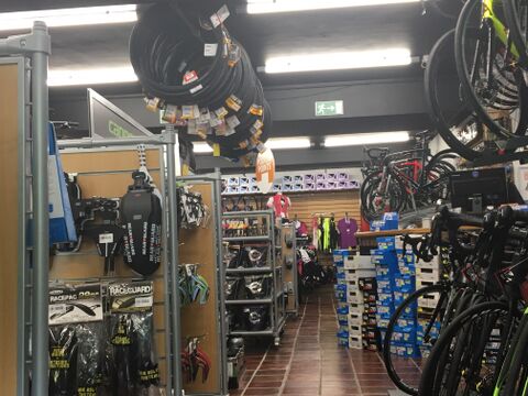 Megaman's Dino Brings New Light to Pedal On Store