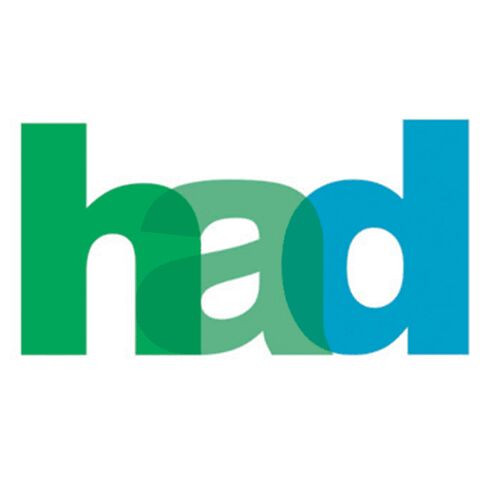 Megaman To Lend Local Support to HAD