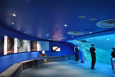 Megaman LED the Way at the UK's Largest Aquarium