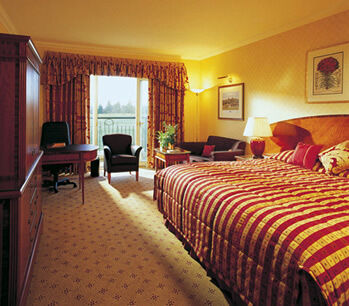 Megaman's Liliput Lights the High Life