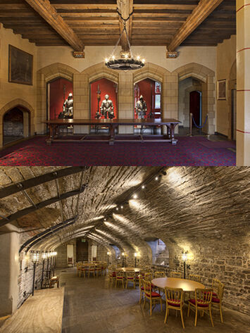 Megaman at Cardiff Castle